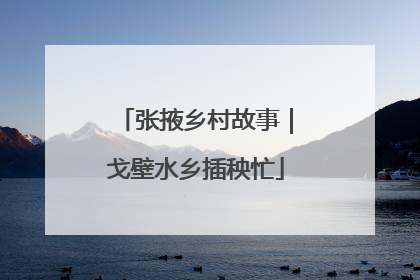 张掖乡村故事｜戈壁水乡插秧忙