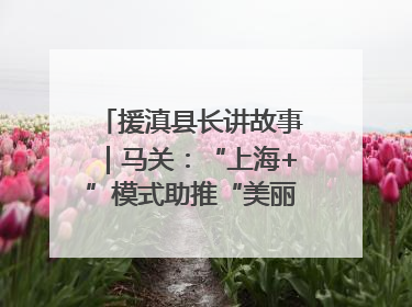 援滇县长讲故事｜马关：“上海+”模式助推“美丽产业”幸福绽放