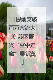 提前突破百万客流大关 苏区振兴“空中走廊”展新翼