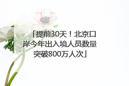 提前30天！北京口岸今年出入境人员数量突破800万人次