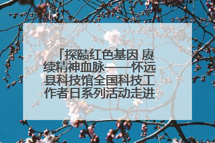 探赜红色基因 赓续精神血脉——怀远县科技馆全国科技工作者日系列活动走进怀远县实验中学