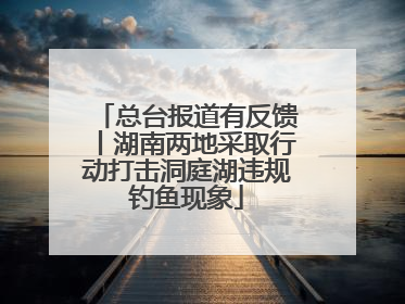 总台报道有反馈丨湖南两地采取行动打击洞庭湖违规钓鱼现象