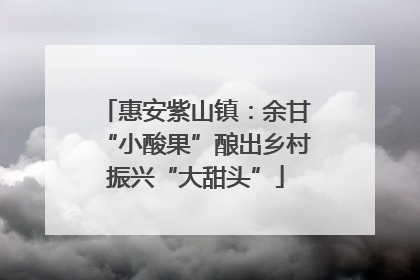 惠安紫山镇：余甘“小酸果”酿出乡村振兴“大甜头”