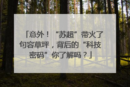 意外！“苏超”带火了句容草坪，背后的“科技密码”你了解吗？