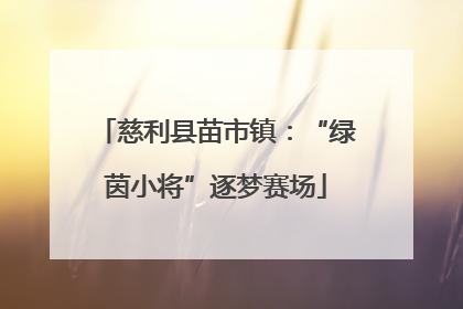 慈利县苗市镇：“绿茵小将”逐梦赛场
