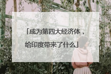 成为第四大经济体，给印度带来了什么