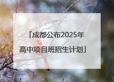 成都公布2025年高中项目班招生计划