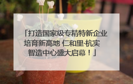 打造国家级专精特新企业培育新高地 仁和里·杭实智造中心盛大启幕！