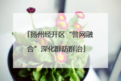 扬州经开区“警网融合”深化群防群治