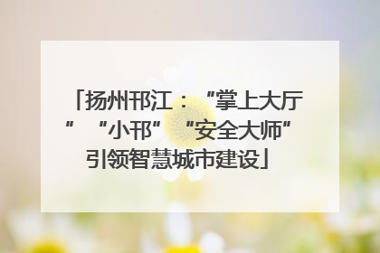 扬州邗江：“掌上大厅”“小邗”“安全大师”引领智慧城市建设