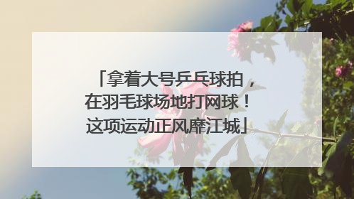 拿着大号乒乓球拍，在羽毛球场地打网球！这项运动正风靡江城