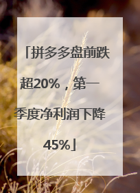 拼多多盘前跌超20%，第一季度净利润下降45%