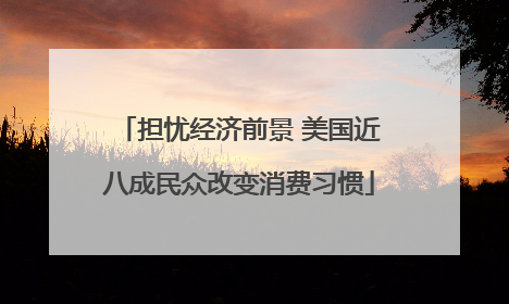 担忧经济前景 美国近八成民众改变消费习惯