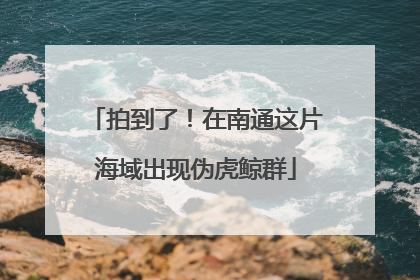 拍到了！在南通这片海域出现伪虎鲸群