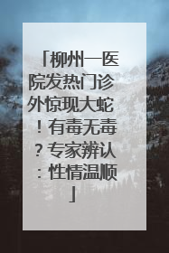 柳州一医院发热门诊外惊现大蛇！有毒无毒？专家辨认：性情温顺