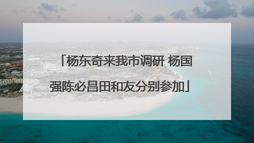 杨东奇来我市调研 杨国强陈必昌田和友分别参加