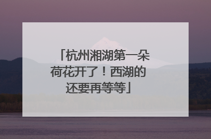 杭州湘湖第一朵荷花开了！西湖的还要再等等