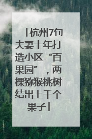 杭州7旬夫妻十年打造小区“百果园”，两棵猕猴桃树结出上千个果子
