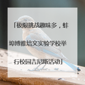 极限挑战趣味多，蚌埠博雅培文实验学校举行校园吉尼斯活动