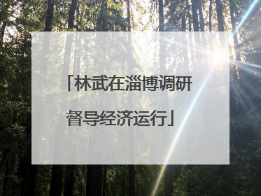 林武在淄博调研督导经济运行