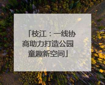 枝江：一线协商助力打造公园童趣新空间