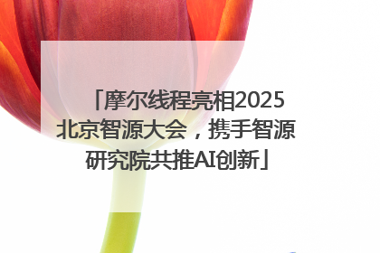 摩尔线程亮相2025北京智源大会，携手智源研究院共推AI创新