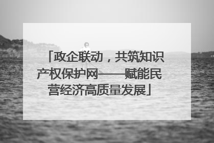 政企联动，共筑知识产权保护网——赋能民营经济高质量发展
