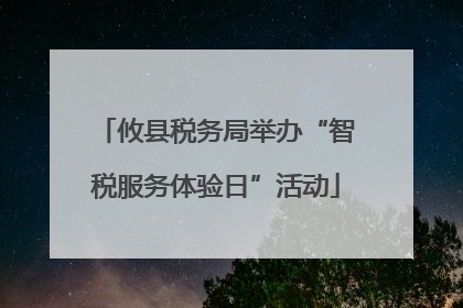 攸县税务局举办“智税服务体验日”活动