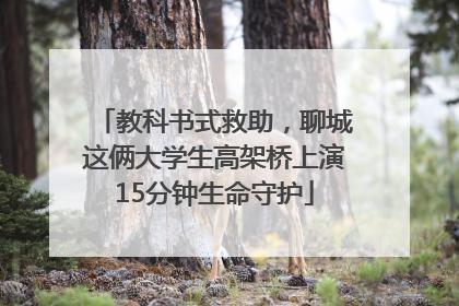教科书式救助，聊城这俩大学生高架桥上演15分钟生命守护