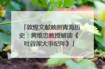 敦煌文献映照青海历史：黄维忠教授解读《吐谷浑大事纪年》