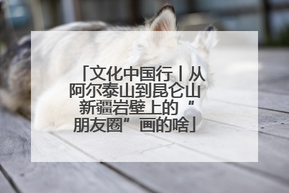 文化中国行丨从阿尔泰山到昆仑山 新疆岩壁上的“朋友圈”画的啥