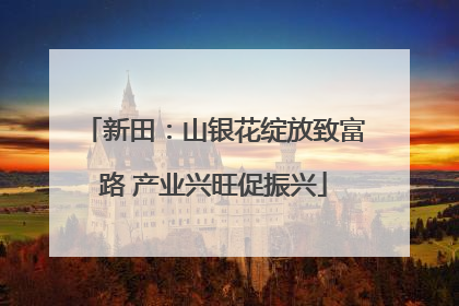 新田：山银花绽放致富路 产业兴旺促振兴