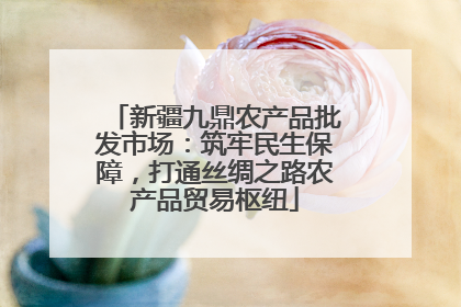 新疆九鼎农产品批发市场：筑牢民生保障，打通丝绸之路农产品贸易枢纽