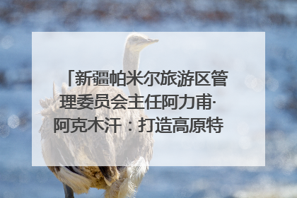 新疆帕米尔旅游区管理委员会主任阿力甫·阿克木汗：打造高原特色文旅品牌 推动县域旅游高质量发展｜第七届全国县域旅游研究成果发布系列活动