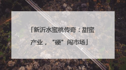 新沂水蜜桃传奇：甜蜜产业，“硬”闯市场