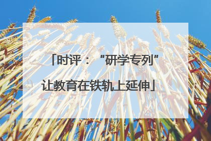 时评：“研学专列”让教育在铁轨上延伸