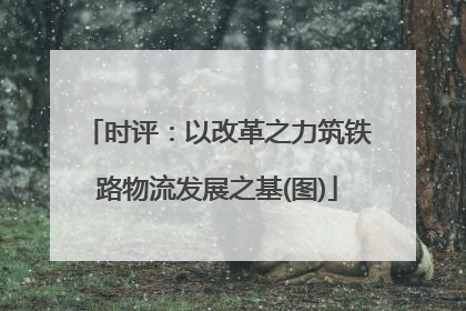 时评：以改革之力筑铁路物流发展之基(图)