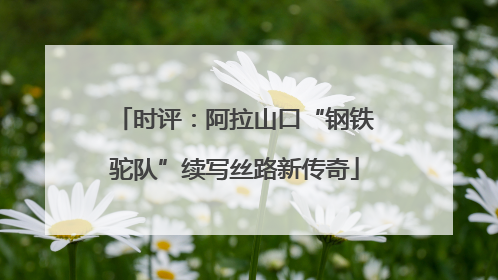 时评：阿拉山口“钢铁驼队”续写丝路新传奇