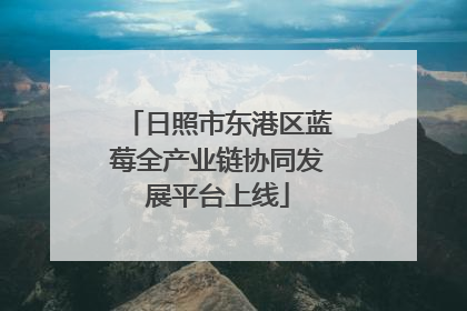 日照市东港区蓝莓全产业链协同发展平台上线