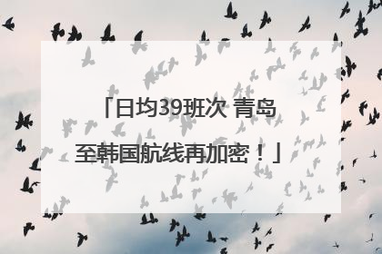 日均39班次 青岛至韩国航线再加密！
