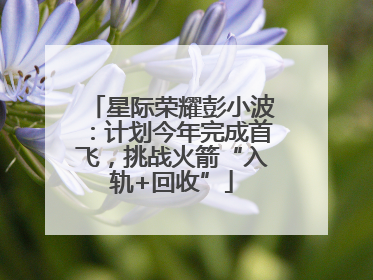 星际荣耀彭小波：计划今年完成首飞，挑战火箭“入轨+回收”