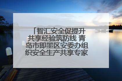 智汇安全促提升 共享经验筑防线 青岛市即墨区安委办组织安全生产共享专家现场观摩学习活动