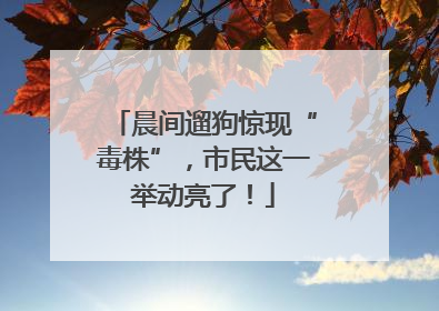 晨间遛狗惊现“毒株”，市民这一举动亮了！
