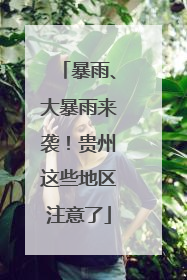 暴雨、大暴雨来袭！贵州这些地区注意了