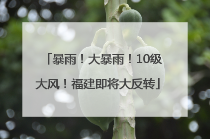 暴雨！大暴雨！10级大风！福建即将大反转