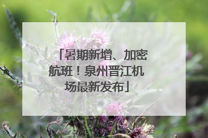暑期新增、加密航班！泉州晋江机场最新发布