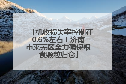 机收损失率控制在0.6%左右！济南市莱芜区全力确保粮食颗粒归仓