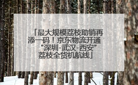 最大规模荔枝助销再添一码！京东物流开通“深圳-武汉-西安” 荔枝全货机航线