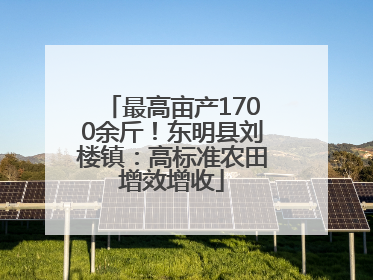 最高亩产1700余斤！东明县刘楼镇：高标准农田增效增收
