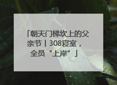 朝天门梯坎上的父亲节丨308寝室，全员“上岸”